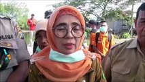 Diduga Mati Akibat Virus, Ratusan Bangkai Babi Dibuang ke Danau