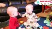 Baby Siblings Playing and Laughing Together  Fun and Fails Baby Siblings Playing Together