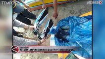 Nelayan Lampung Temukan Mayat Penyelam yang Diduga WNA