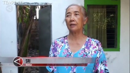 Petugas Evakuasi Kawanan Ular Cobra Masuk Pemukiman Warga