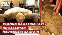 Pagong na kasing laki ng sasakyan, nadiskubre sa Spain | GMA News Feed