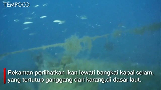 Bangkai Kapal Selam Inggris Era Perang Dunia 2 Ditemukan di Malta