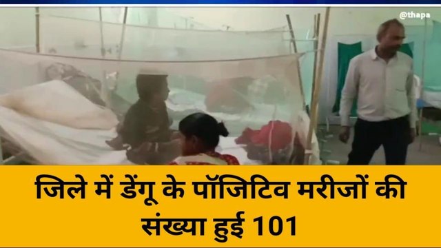 बांदा: लगातार डेंगू के पॉजिटिव मामले आ रहे सामने, पॉजिटिव मरीजों की संख्या पहुंची 101