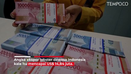 Tolak Rencana Edhy, Susi Buka Data Ekspor Lobster RI dan Vietnam