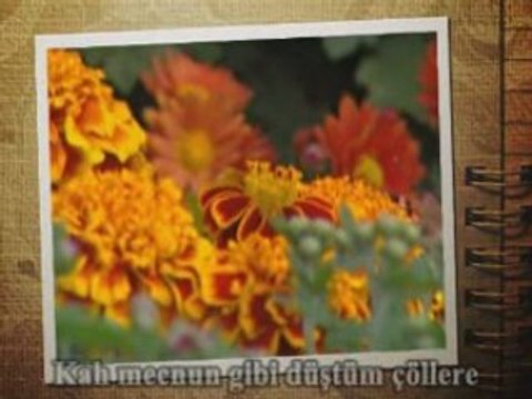 Ben seni görmeden sevdim