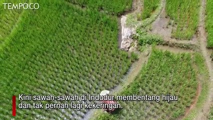 Tidak Ada Lagi Bukit Tandus di Indudur