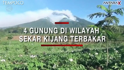 4 Gunung di Wilayah Sekar Kijang Terbakar, 9 Pendaki Terjebak