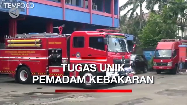 Tak Cuma Hadapi Api, Ini Sederet Tugas Unik Damkar