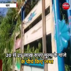 पुलिस ने की अवैध मादक पदार्थों पर बड़ी कार्यवाही
