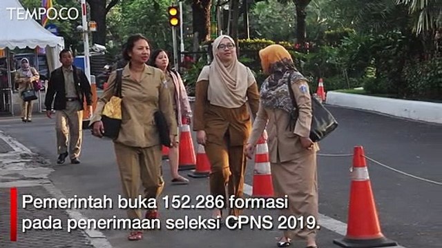 CPNS 2019, Lowongan Guru dan Tenaga Kesehatan Paling Banyak