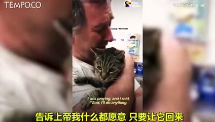 Momen Haru, 7 Tahun Hilang, Kucing Ini Akhirnya Bertemu Tuannya