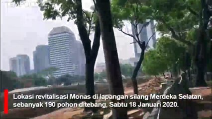 Ratusan Pohon Jadi Korban Revitalisasi Monas