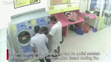 Masukkan Kucing Hamil di Mesin Pengering hingga Tewas, Pria Ini Dipenjara