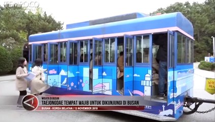 Wisata ke Busan Wajib Kunjungi Area Taejongdae