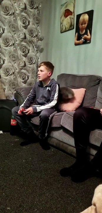 Rabbit Competes With Videogame for Attention