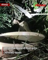 वन्यप्राण्याच्या पिल्लांना आईच्या स्वाधीन करण्यासाठी वनविभागाने केला रात्रीचा दिवस...-