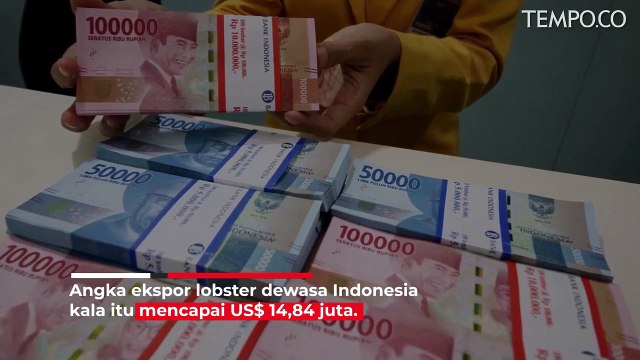 Tolak Rencana Edhy Prabowo, Susi Pudjiastuti Buka Data Ekspor Lobster RI dan Vietnam