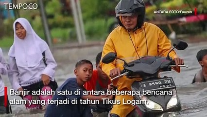 Imlek 2020 Tahun Tikus Logam, Ini Predikasi Menurut Feng Shui