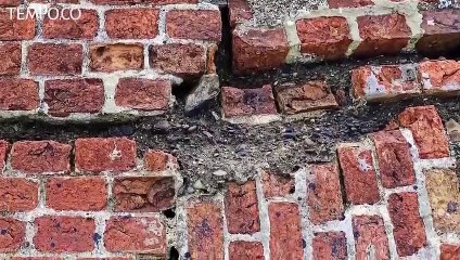 Gempa Miangas Berasal dari Zona Megathrust, Warga Berhamburan