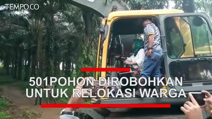501 Pohon Bakal Dirobohkan untuk Relokasi Warga Korban Bencana di Bogor