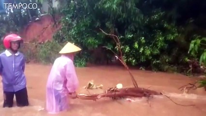 Pohon Tumbang Tutup Kali, Banjir Genangi Perumahan Wahana Bekasi
