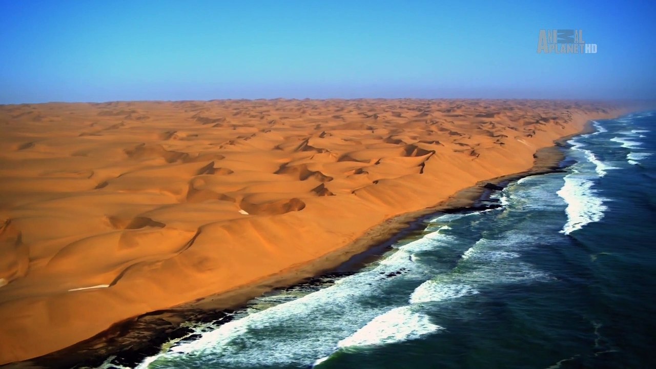 Mutant Planet - The Arid Namib