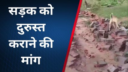 बलरामपुर: खुदाई के बाद जलनिगम ने नही पटवाई सड़क, आवागमन मे परेशानी