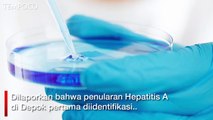 Mewabah di Depok, Ini Cara Antisipasi Hepatitis A