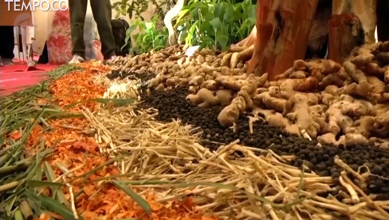 Menkes Terawan Dorong Pentingnya Minum Jamu Bagi Kesehatan