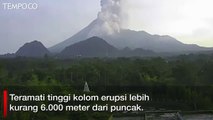Detik-detik Gunung Merapi Erupsi, Jarak Aman 3 Km dari Puncak