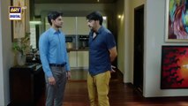 Woh Pagal Si Episode 56