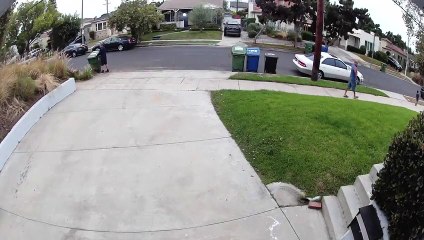 Cet homme est prêt à plaquer son chien pour éviter qu'il ne s'échappe