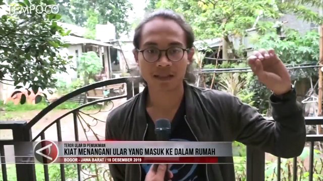 Tips Menangani Ular yang Masuk ke Rumah