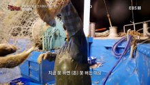 극한직업 - Extreme JOB_가을 바다 황금 조기잡이와 굴비 가공_#002