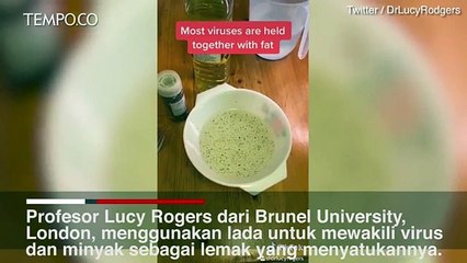 Pentingnya Mencuci Tangan dengan Sabun untuk Menangkal Virus