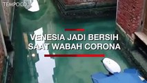 Gara-gara Virus Corona, Perairan Venesia Jadi Lebih Bersih