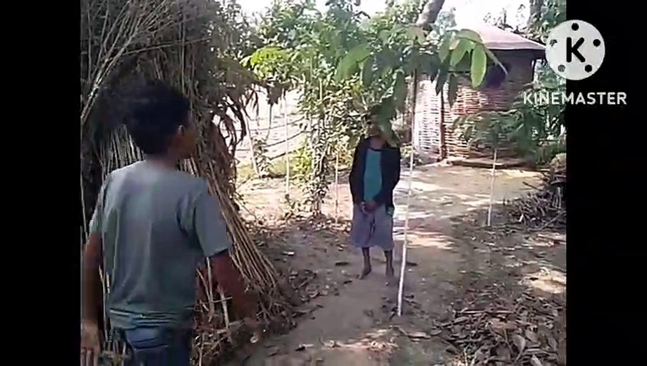 comedy video
