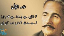 Allama M Iqbal to reply poetry by Hasnain ansab!good poetry  ! Best poetry علامہ محمد اقبال کو جواب شاعری میں