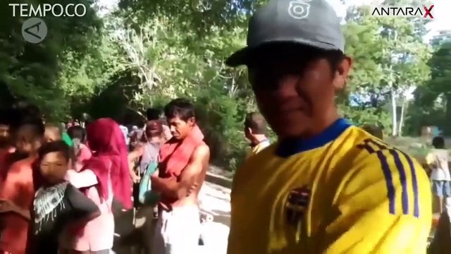 Momen Ular PIton Dipaksa Muntahkan Isi Perut, Keluar Babi Hutan