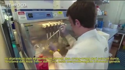 Peneliti Cambridge Mengidentifikasi Tiga Jenis Virus Corona