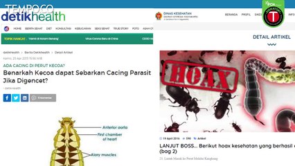 [Cek Fakta] Benarkah Isi Perut Kecoak Berisi Cacing Hingga Dilarang Diinjak?