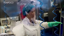 Rekaman Media Cina 2018: Ilmuwan di Lab Wuhan Pelajari Virus Corona Baru pada Kelelawar