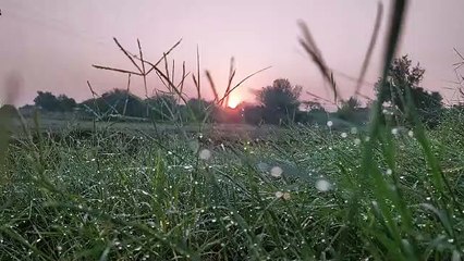 फतेहपुर सबसे सर्द, पूरे प्रदेश में छूटने लगी धूजणी