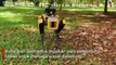 Singapura Kerahkan Robot Awasi Social Distancing Warga di Taman