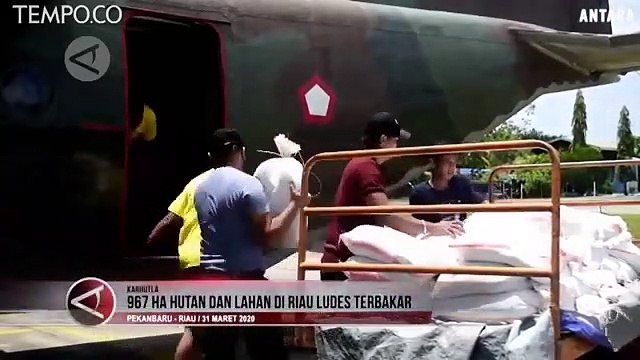 967 Hektare Hutan dan Lahan di Riau Ludes Terbakar