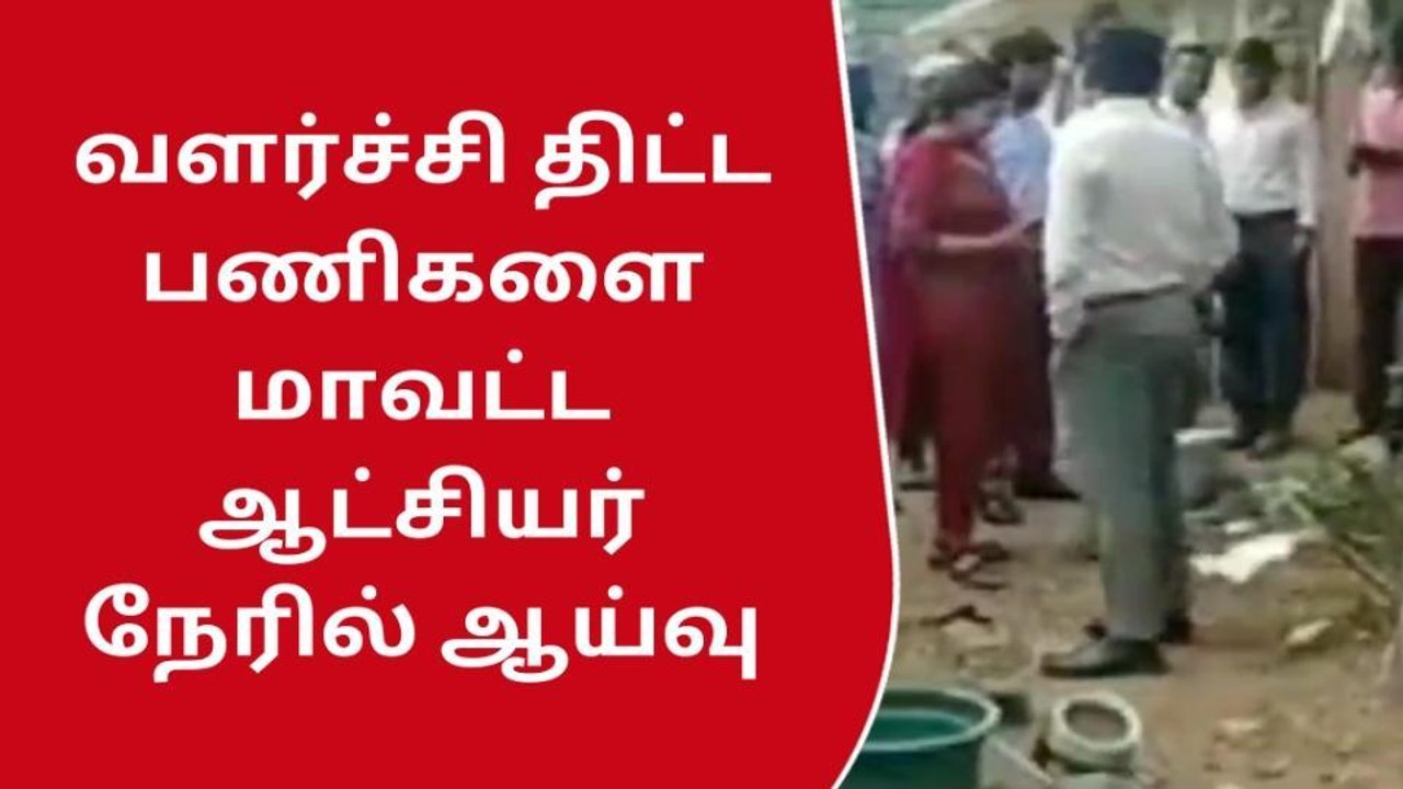 தி.மலை : வளர்ச்சி திட்ட பணிகளை மாவட்ட ஆட்சியர் ஆய்வு