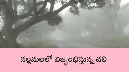 అచ్చంపేట: ఈ ప్రాంతంలో ఎవరికైనా వణుకు పుట్టాల్సిందే..!