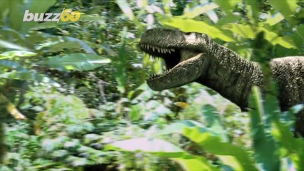 T. Rex Could Have Been 70% Bigger Than Fossils Suggest