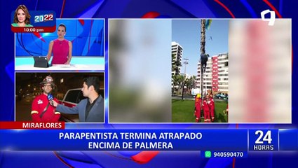 ¡Se salvó de milagro! Parapentista sufre accidente y termina atrapado encima de palmera