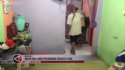 Download Video: Banjir Rob Rendam Pelabuhan dan Rumah di Muara Angke